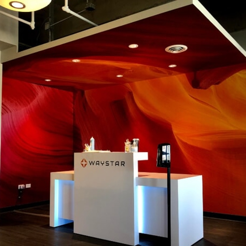 Vinyl Wall Graphics